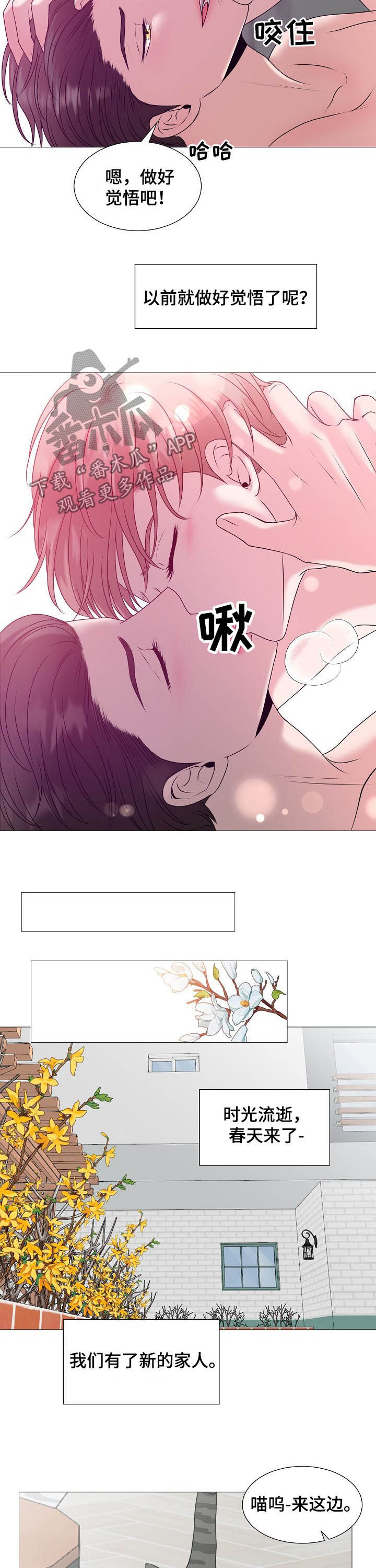 《猫猫初体验》第44章婚礼 第4页