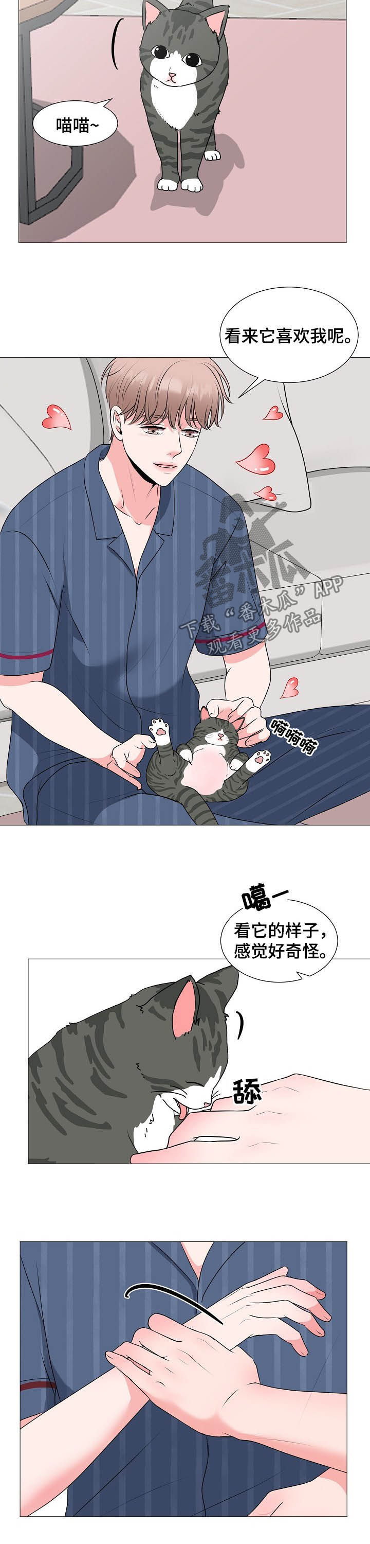 《猫猫初体验》第44章婚礼 第5页