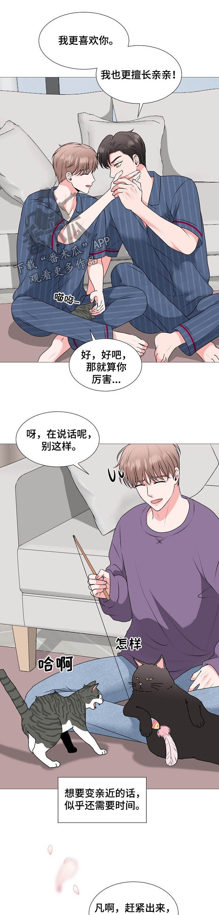 《猫猫初体验》第44章婚礼 第6页