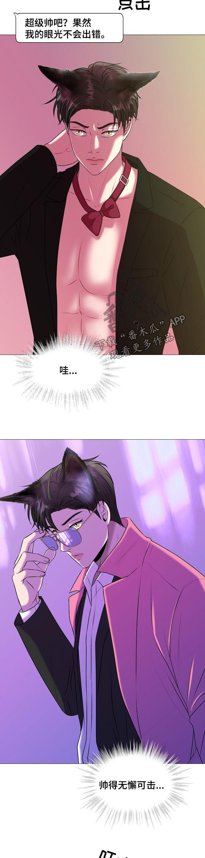 《猫猫初体验》第39章纠缠 第6页