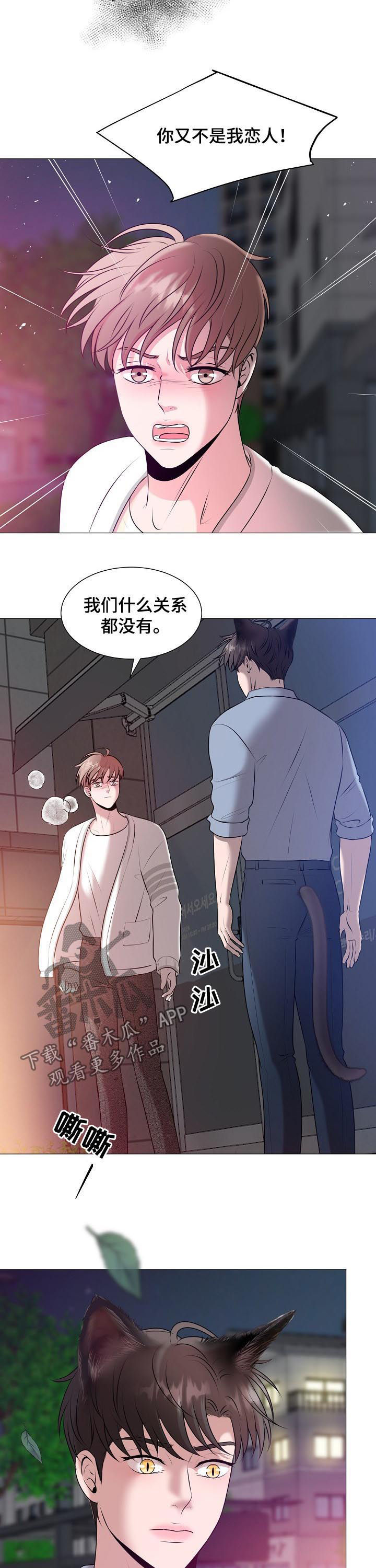 《猫猫初体验》第40章什么意思 第10页
