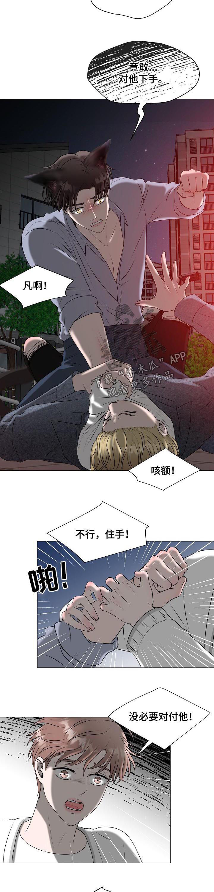 《猫猫初体验》第40章什么意思 第4页