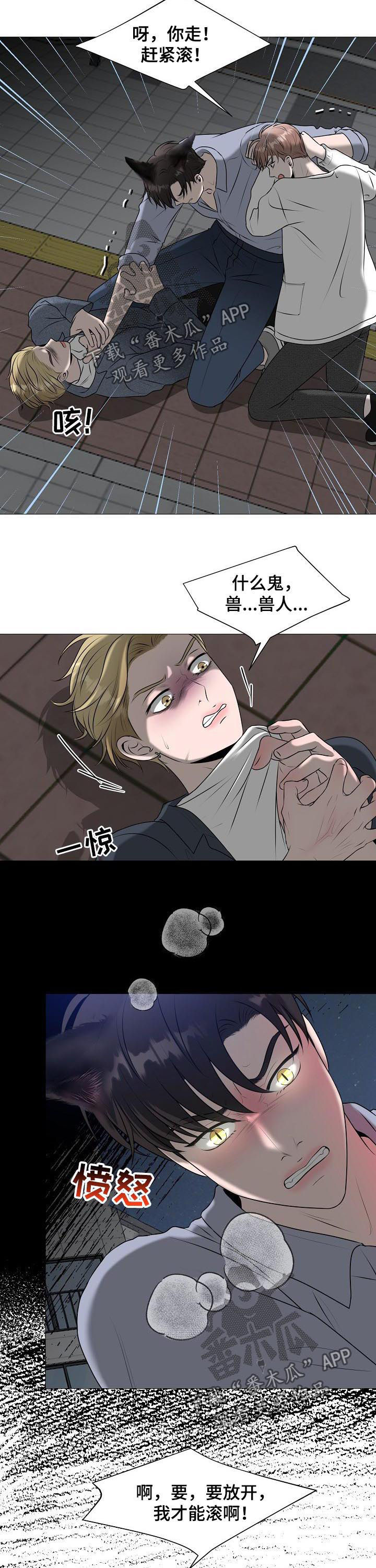 《猫猫初体验》第40章什么意思 第5页