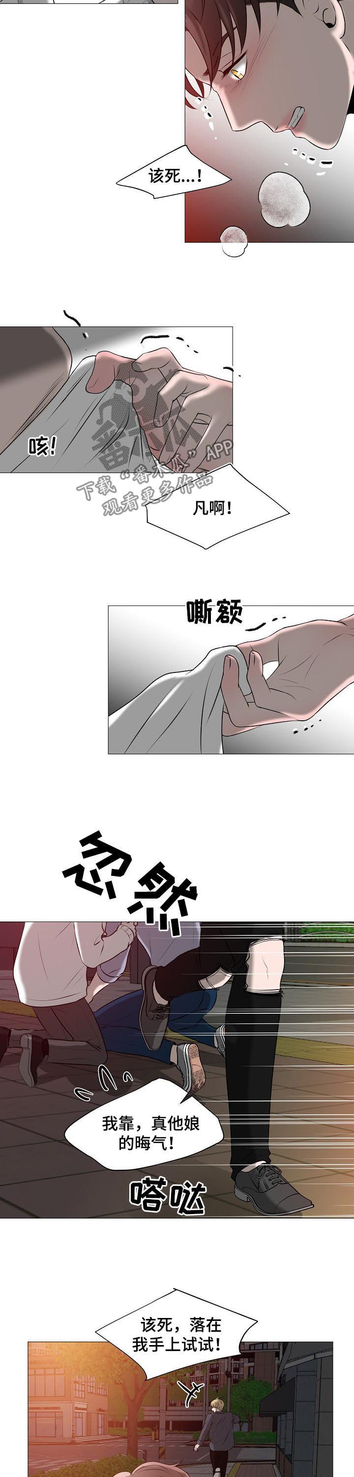 《猫猫初体验》第40章什么意思 第7页