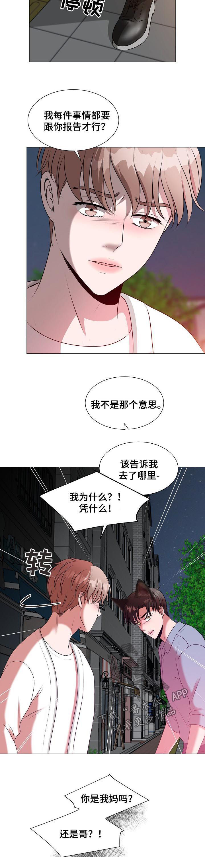 《猫猫初体验》第40章什么意思 第9页