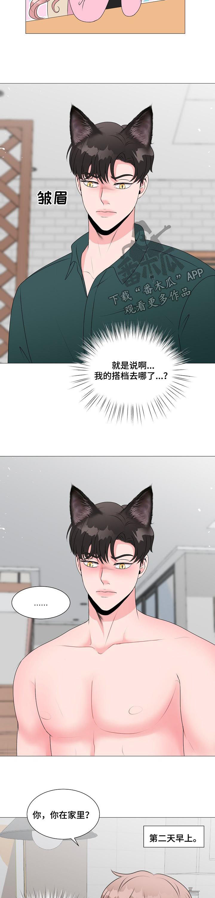 《猫猫初体验》第36章别想跑 第10页