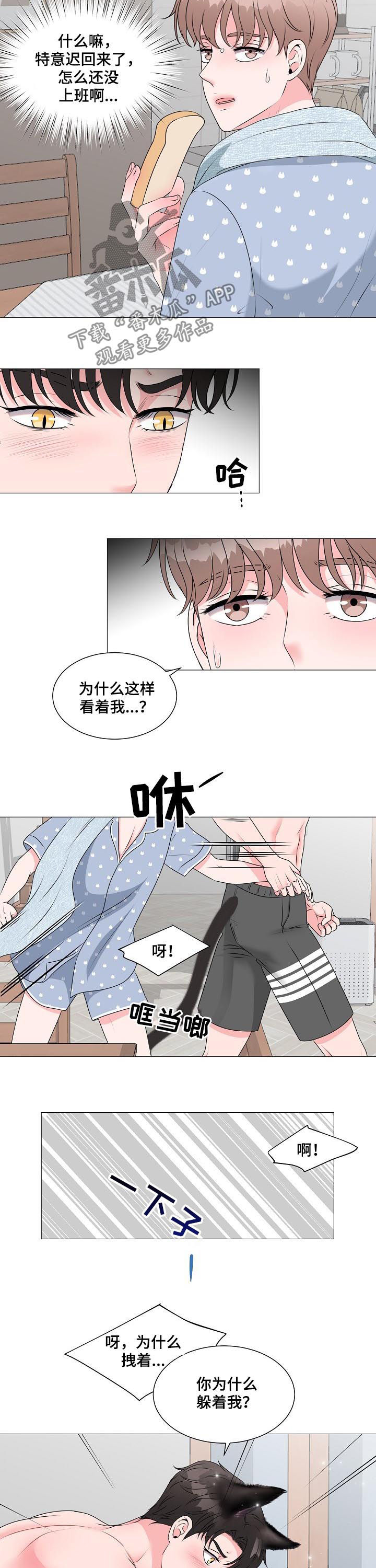 《猫猫初体验》第36章别想跑 第11页