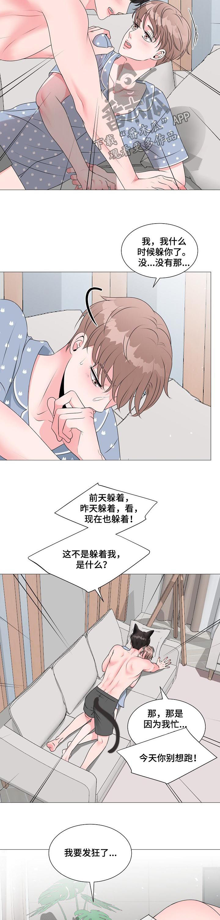 《猫猫初体验》第36章别想跑 第12页