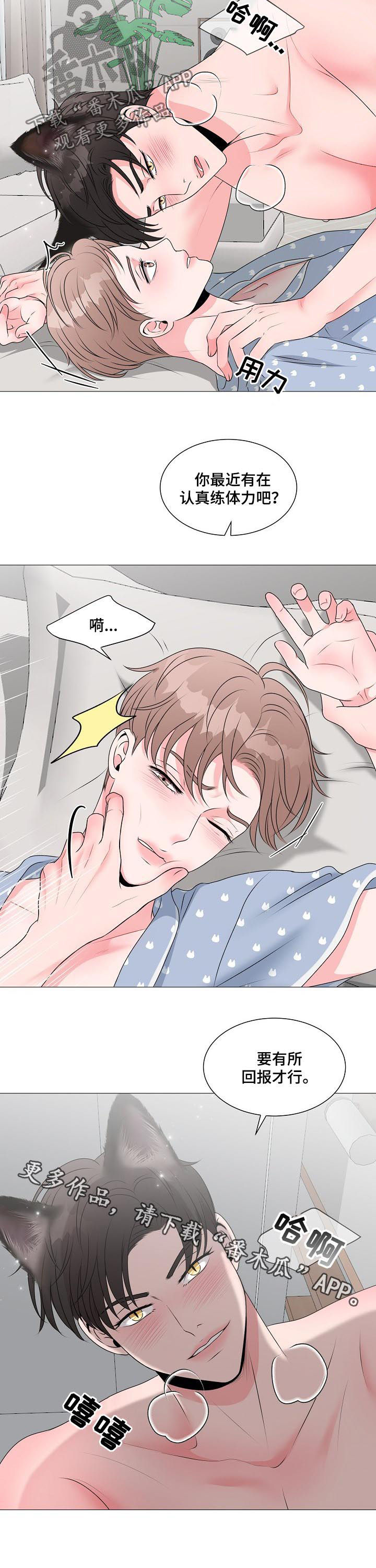 《猫猫初体验》第36章别想跑 第13页