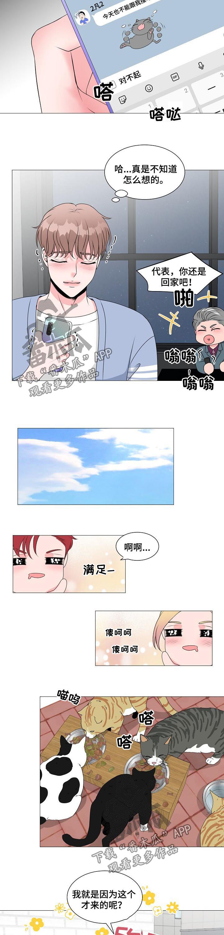 《猫猫初体验》第36章别想跑 第3页