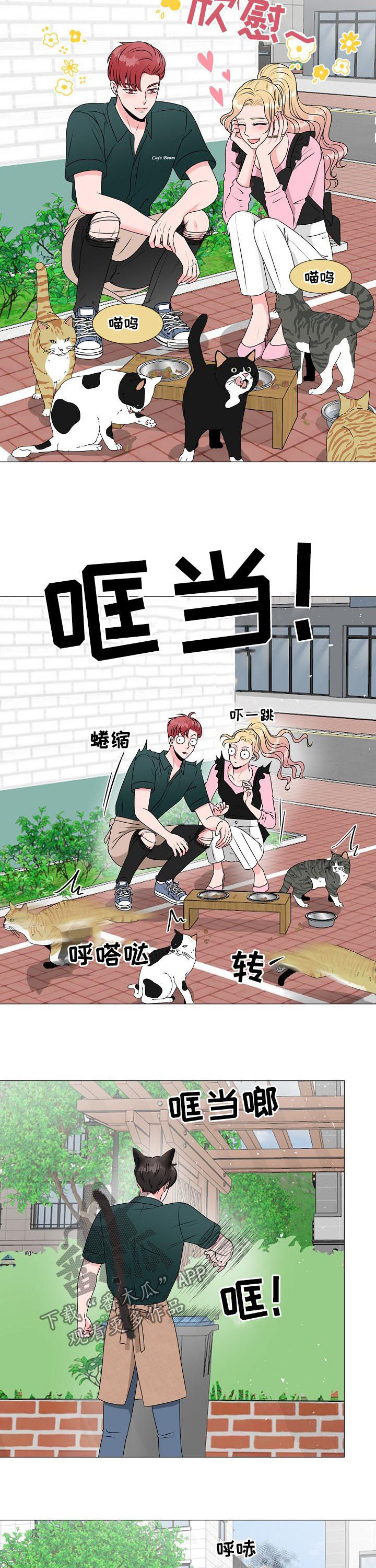 《猫猫初体验》第36章别想跑 第4页