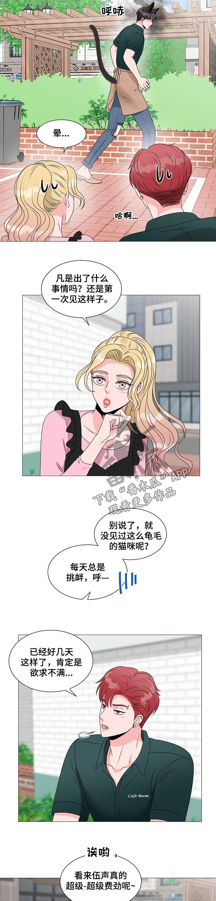 《猫猫初体验》第36章别想跑 第5页