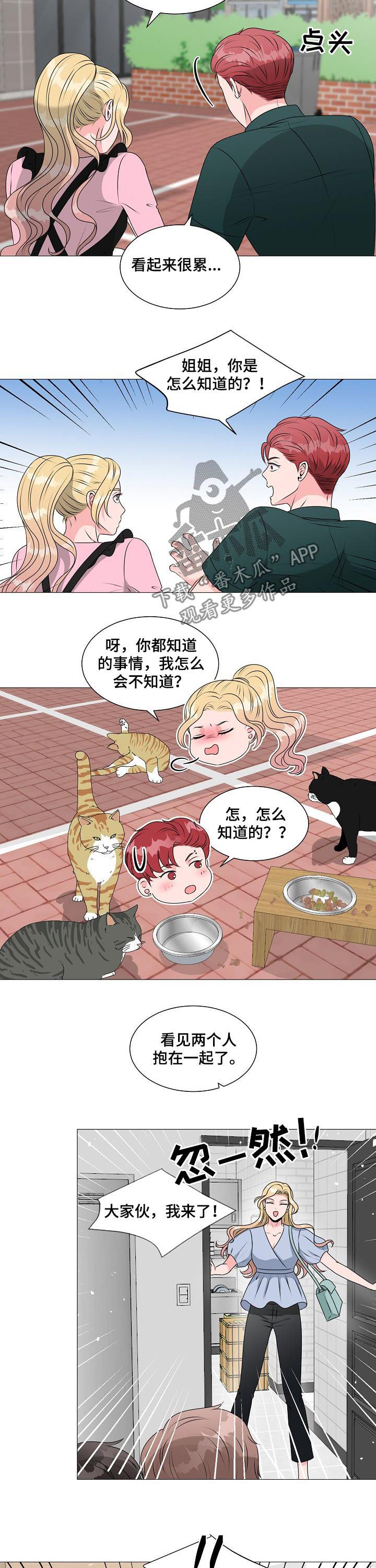 《猫猫初体验》第36章别想跑 第6页