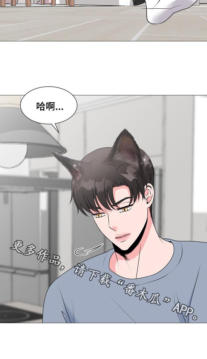 《猫猫初体验》第38章拍摄 第11页