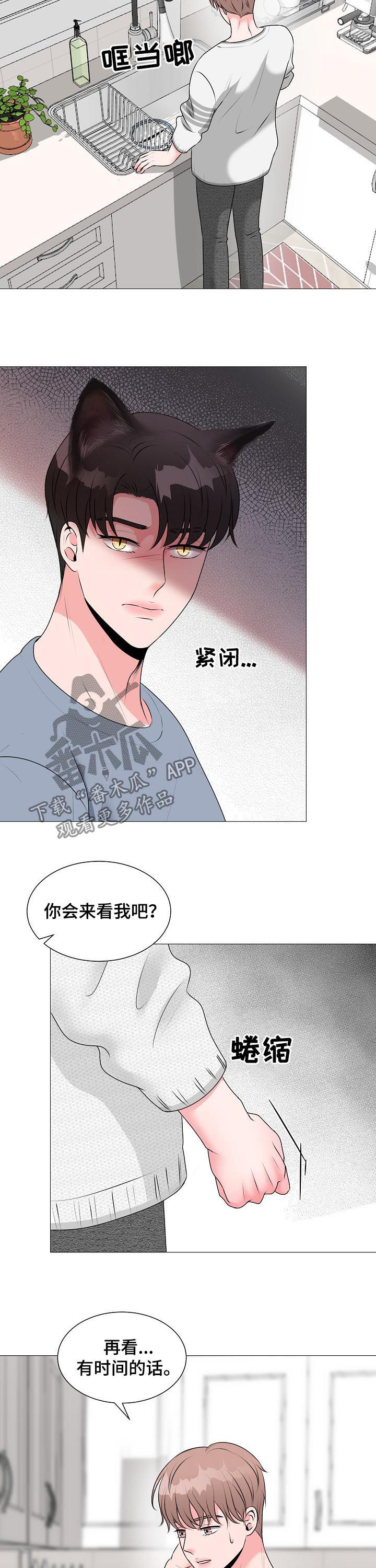 《猫猫初体验》第38章拍摄 第9页