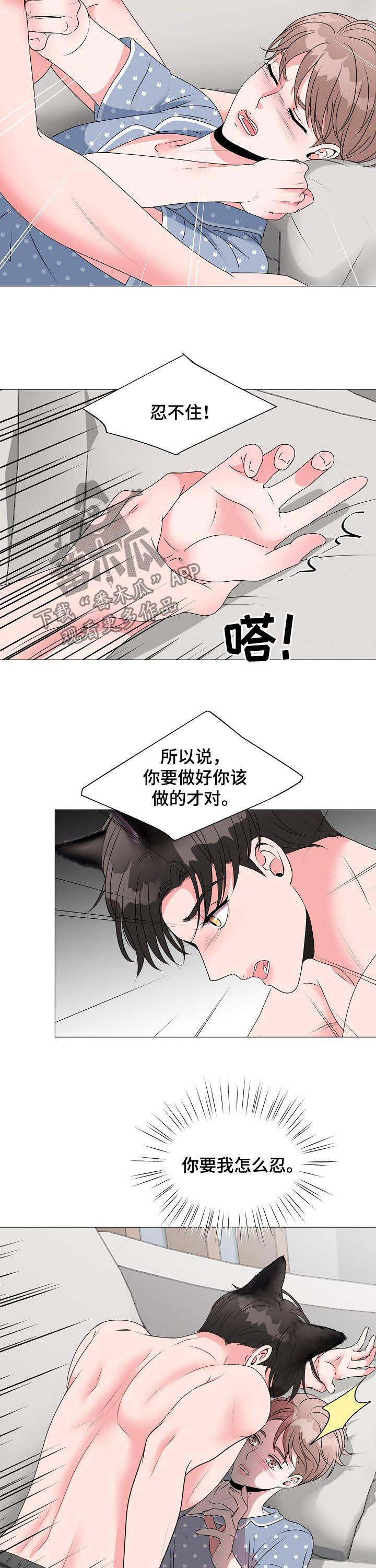 《猫猫初体验》第37章不想忍了 第2页