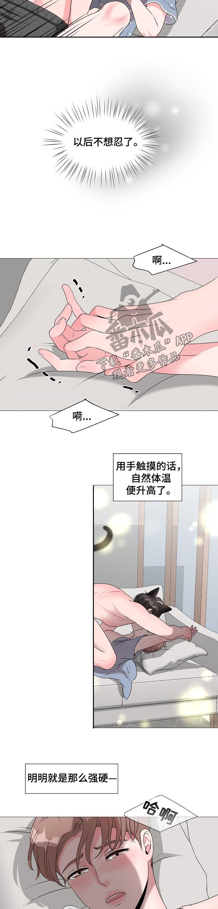 《猫猫初体验》第37章不想忍了 第3页