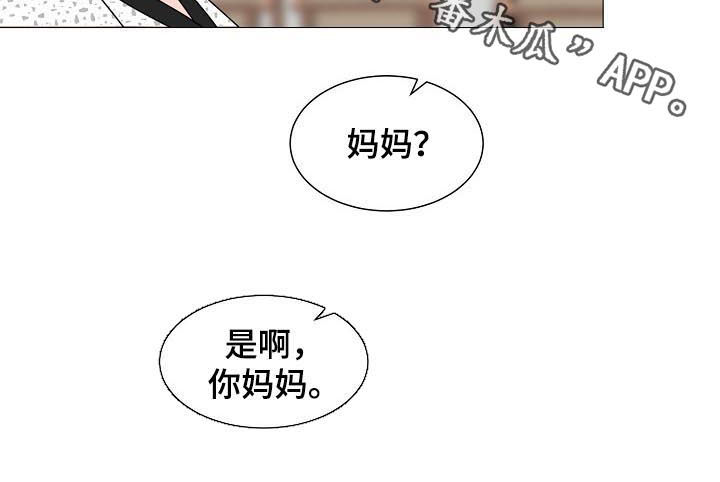 《猫猫初体验》第33章面对现实 第12页