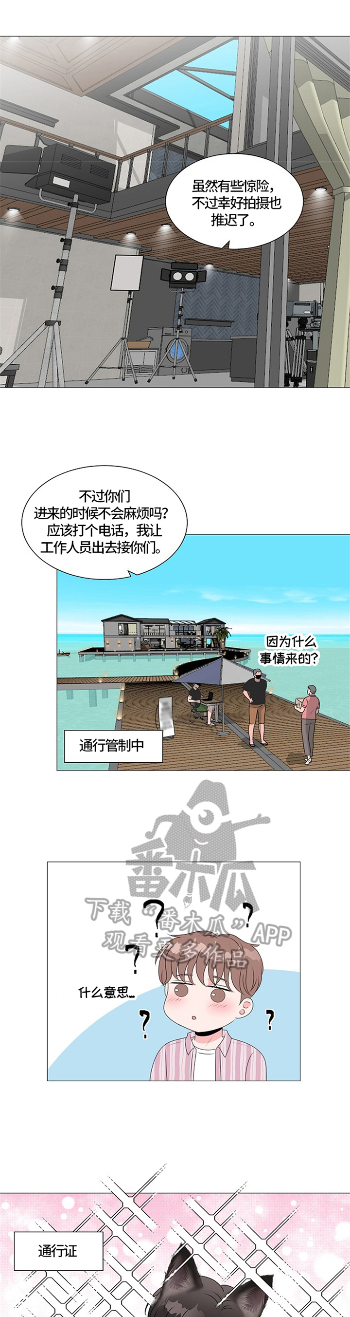 《猫猫初体验》第31章瞩目 第4页