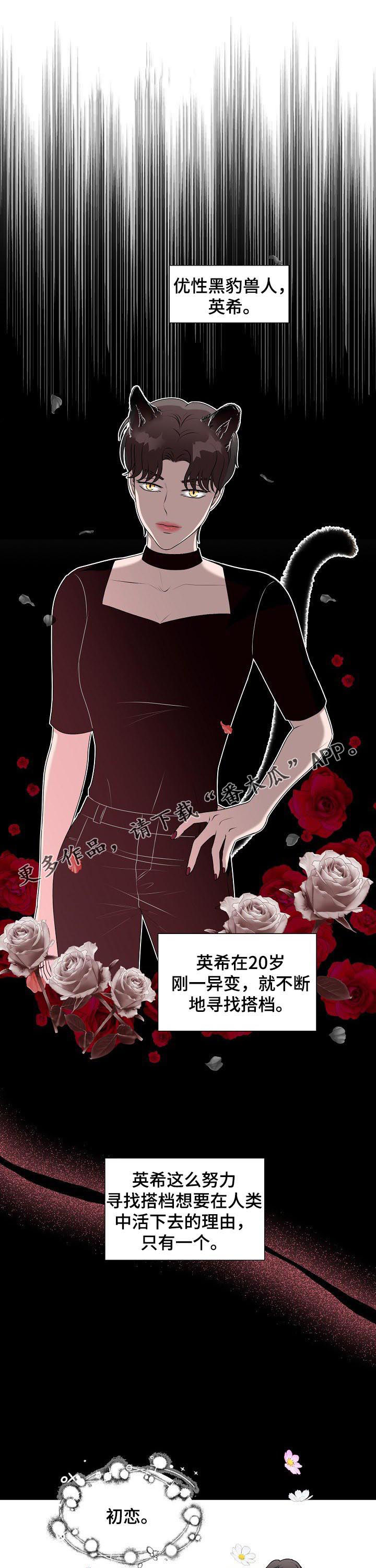《猫猫初体验》第34章收到求婚 第1页