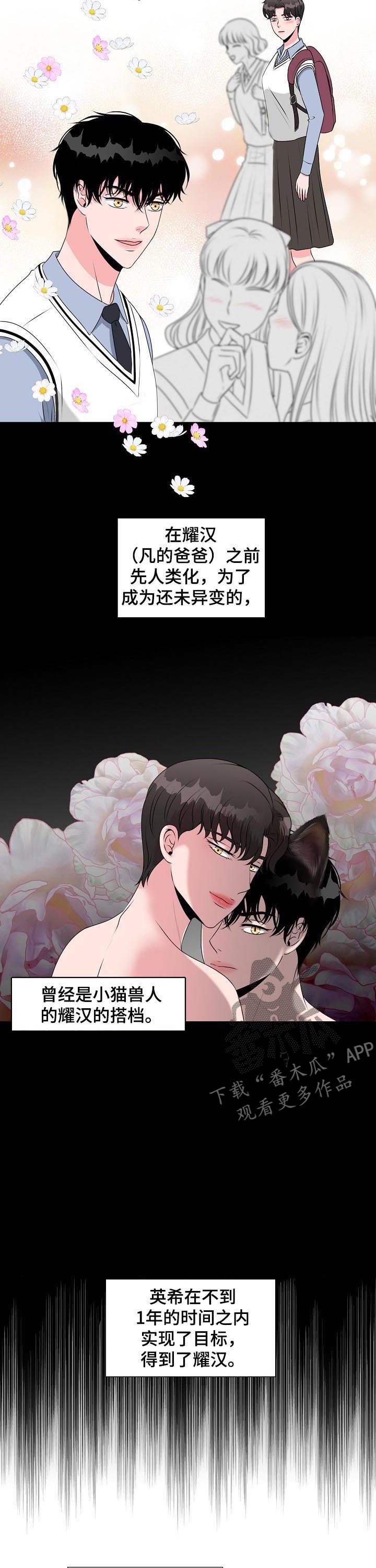 《猫猫初体验》第34章收到求婚 第2页