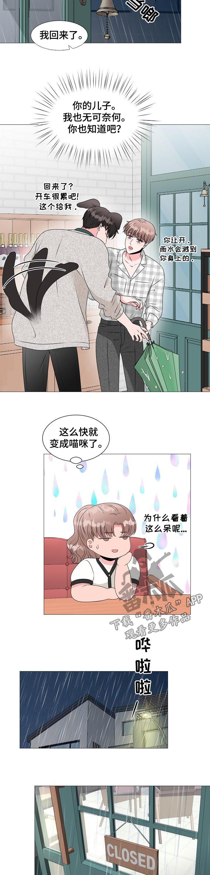 《猫猫初体验》第34章收到求婚 第4页