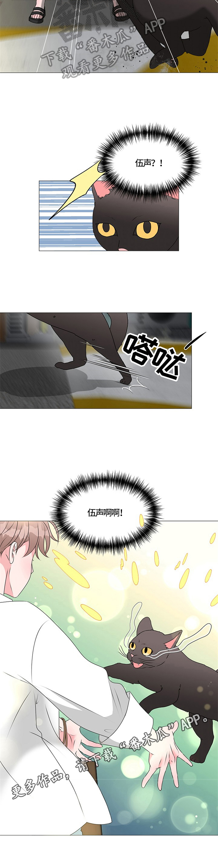 《猫猫初体验》第28章重逢 第10页