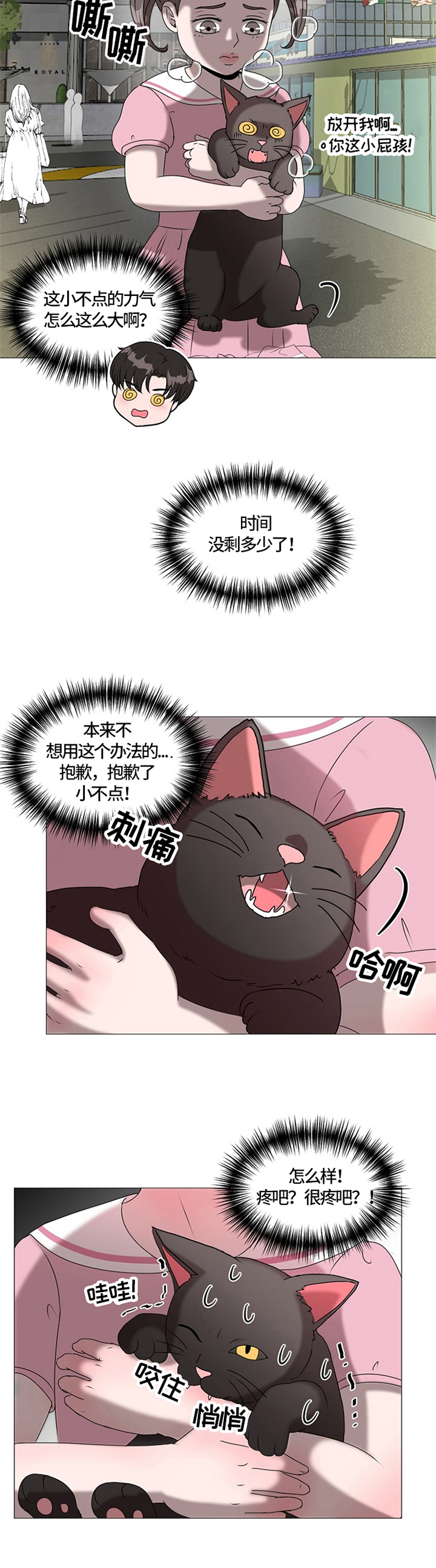 《猫猫初体验》第28章重逢 第4页
