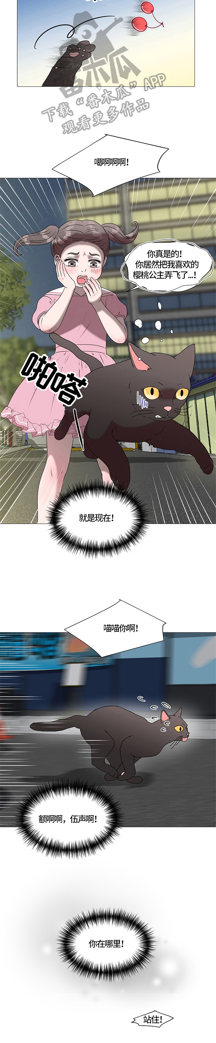 《猫猫初体验》第28章重逢 第6页