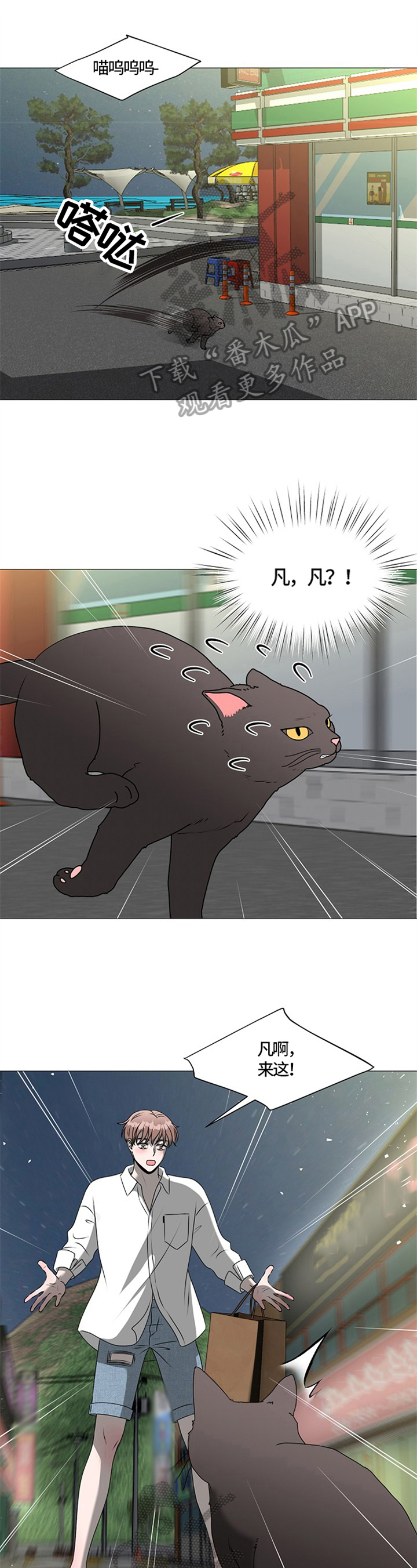 《猫猫初体验》第28章重逢 第9页