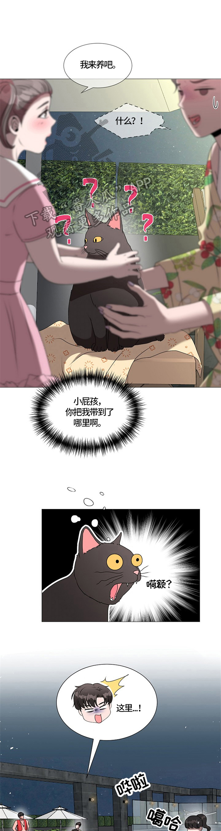 《猫猫初体验》第27章带回酒店 第9页