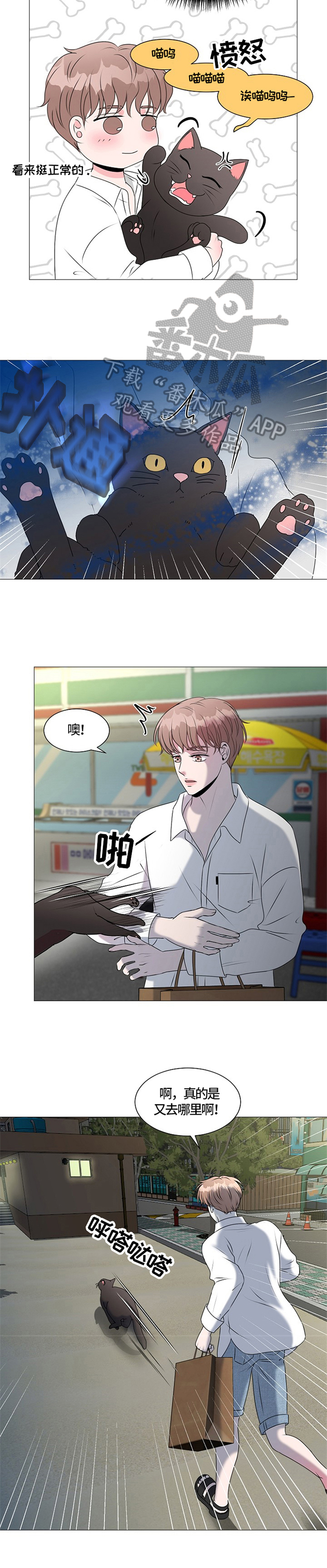 《猫猫初体验》第29章帮忙 第4页