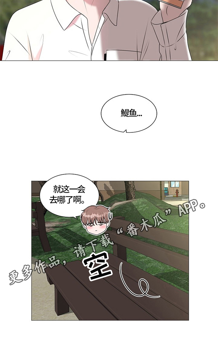 《猫猫初体验》第26章猫咪丢失 第10页