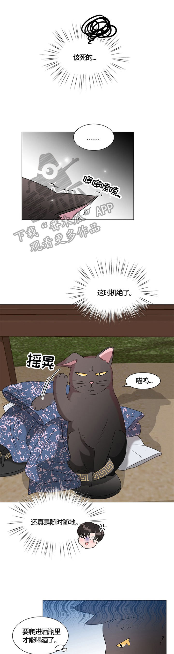 《猫猫初体验》第26章猫咪丢失 第6页