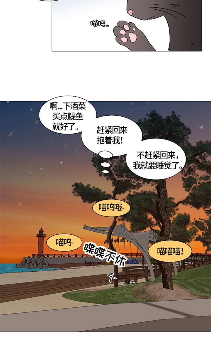 《猫猫初体验》第26章猫咪丢失 第7页