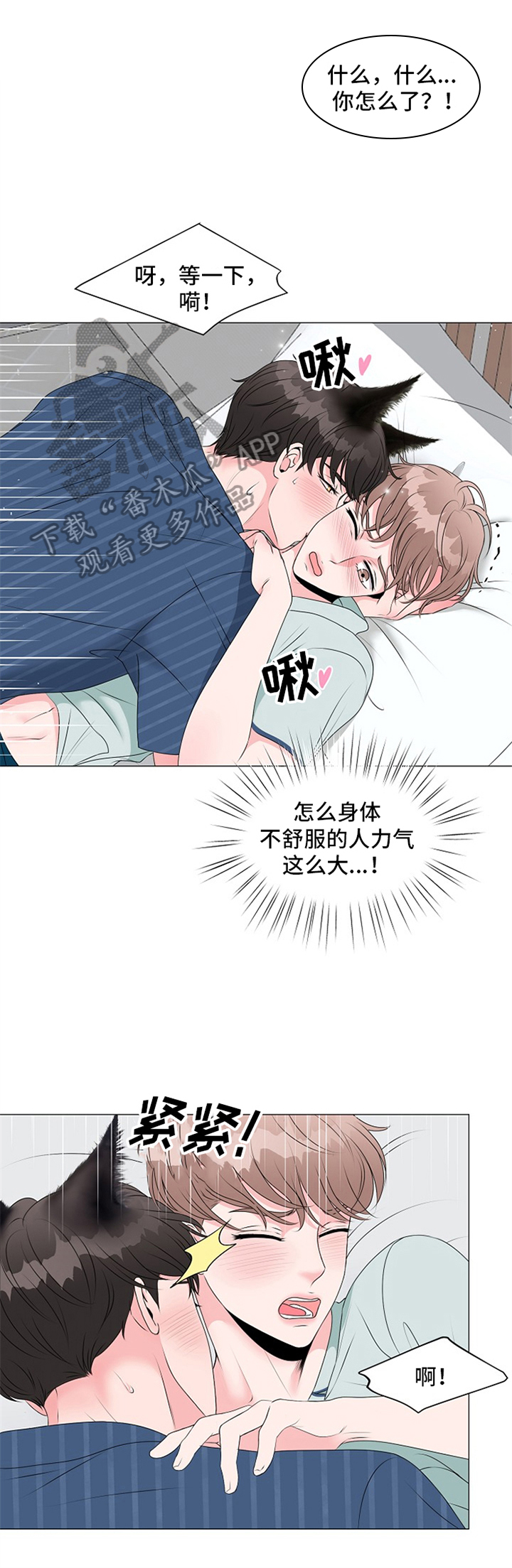 《猫猫初体验》第17章开始 第1页