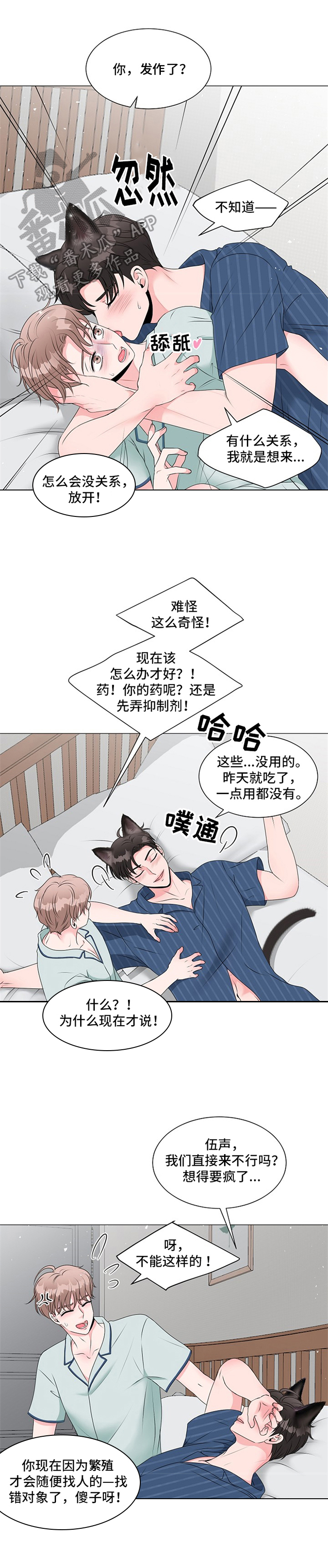 《猫猫初体验》第17章开始 第5页