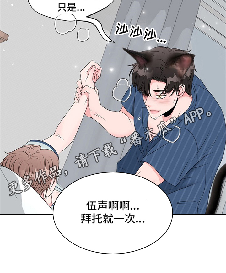 《猫猫初体验》第16章拜托 第12页