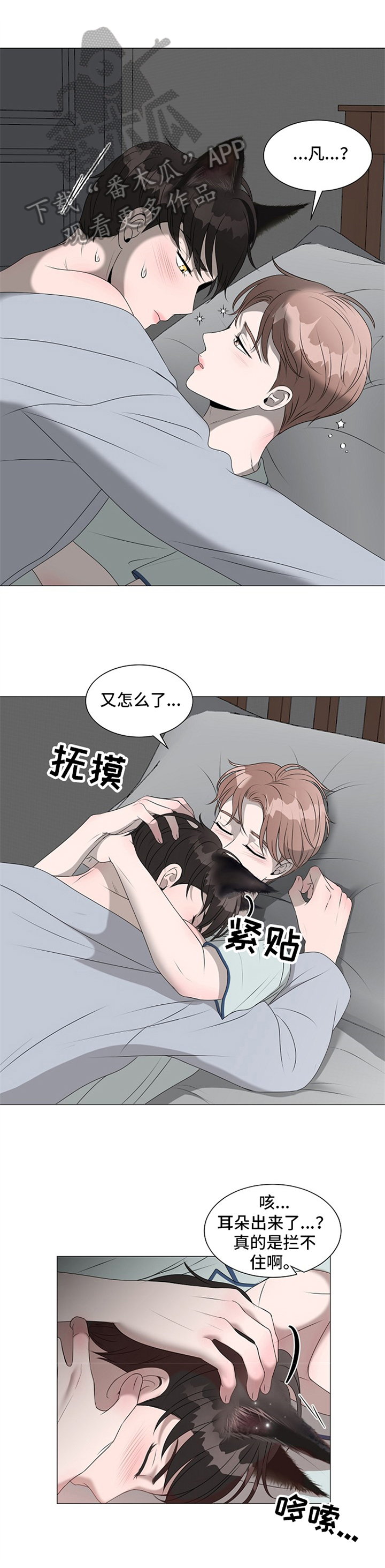 《猫猫初体验》第16章拜托 第2页