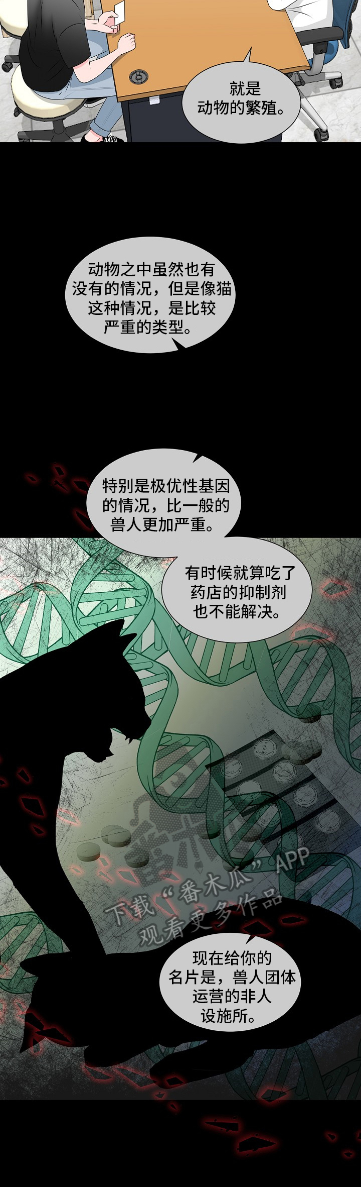 《猫猫初体验》第15章发作 第6页