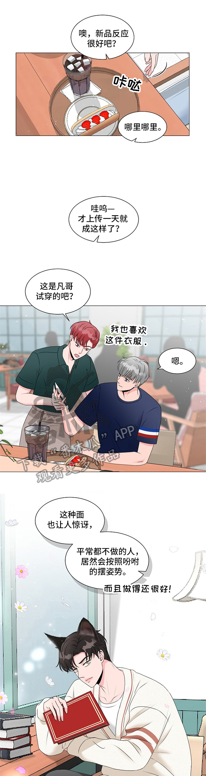 《猫猫初体验》第11章惊喜 第2页
