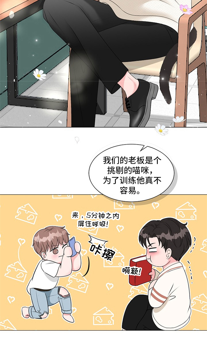 《猫猫初体验》第11章惊喜 第3页