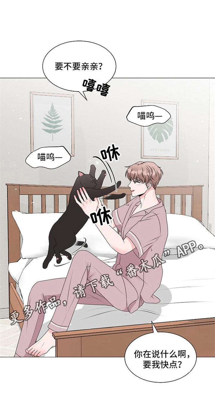 《猫猫初体验》第8章完全体 第10页