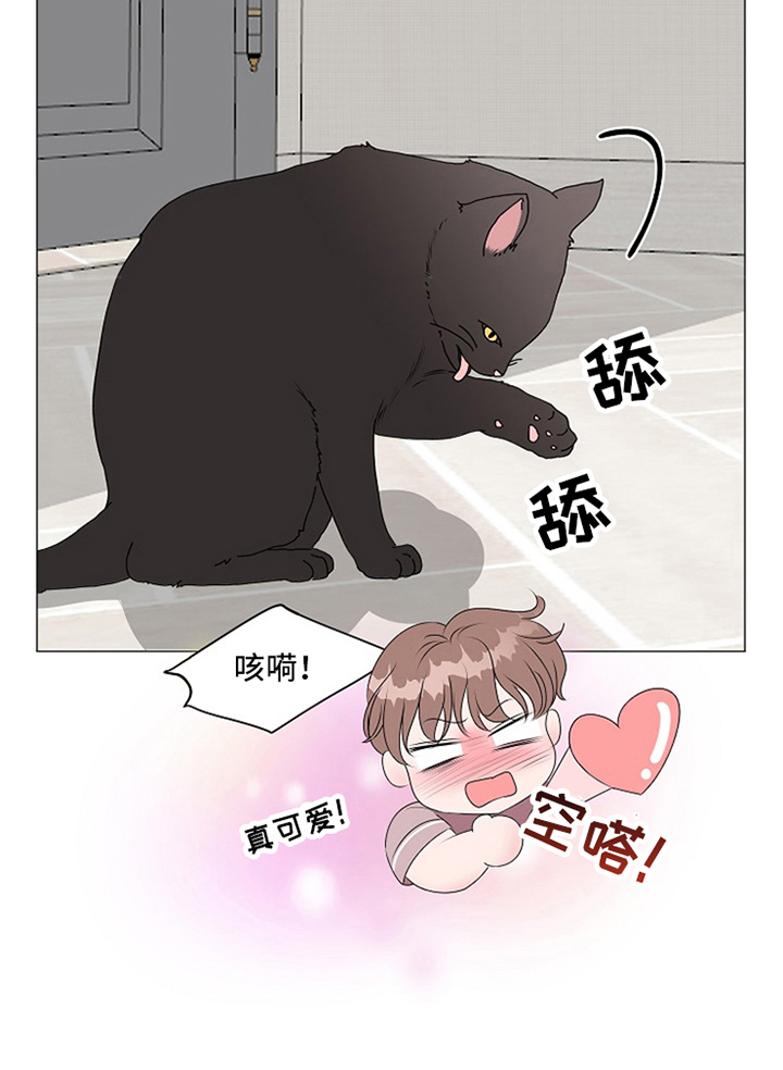 《猫猫初体验》第8章完全体 第7页