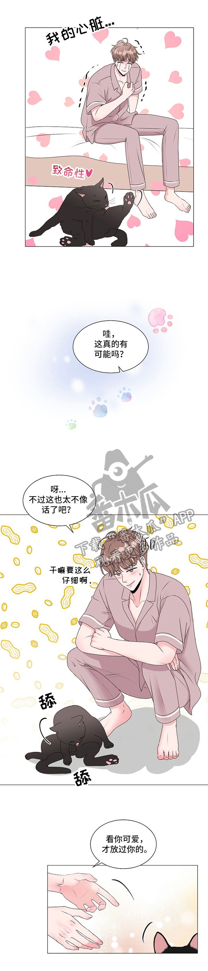 《猫猫初体验》第8章完全体 第8页