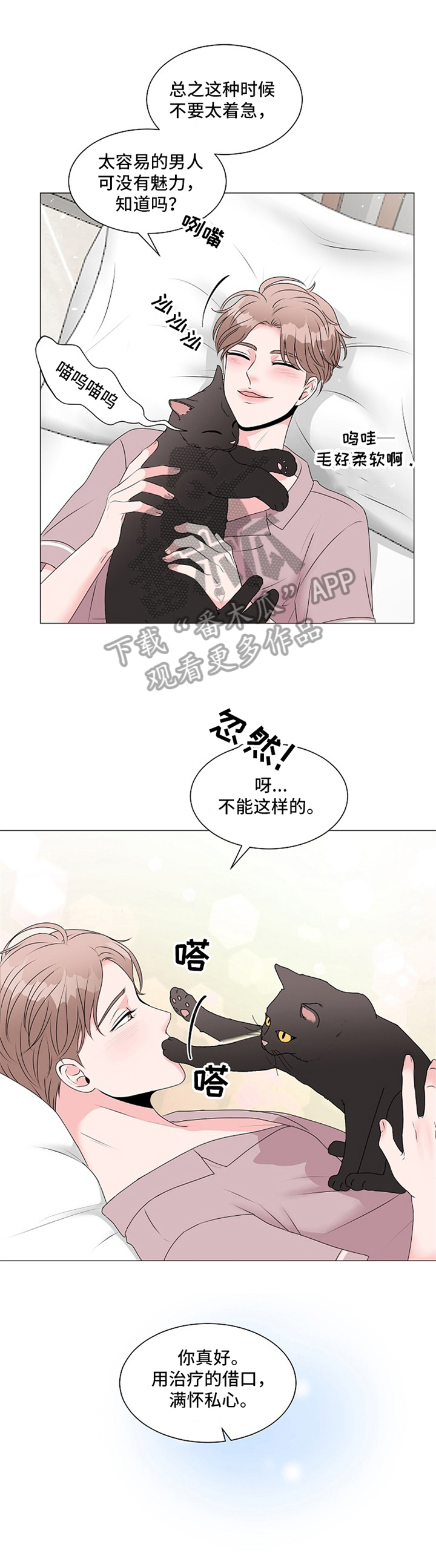 《猫猫初体验》第9章回答 第1页