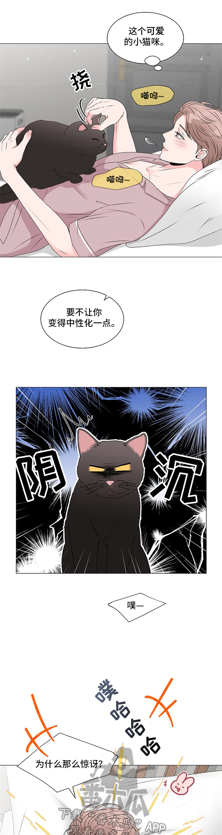 《猫猫初体验》第9章回答 第2页