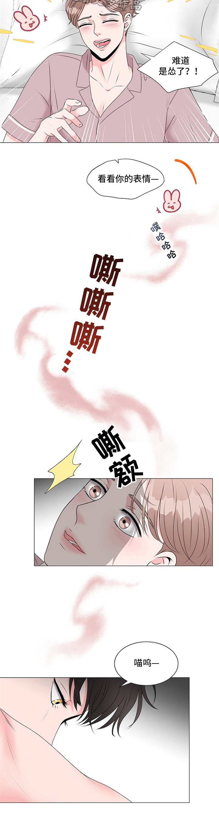《猫猫初体验》第9章回答 第3页