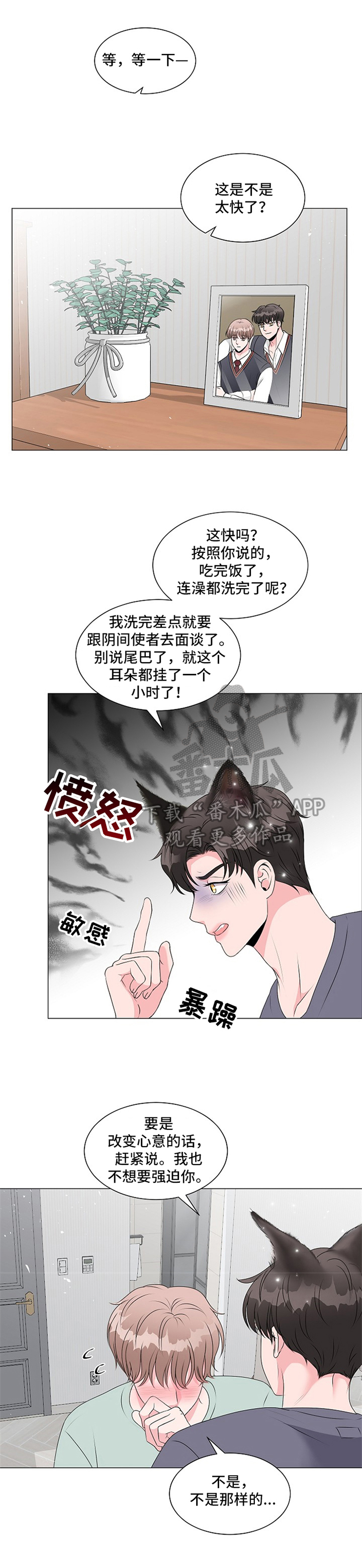 《猫猫初体验》第4章帮助 第9页
