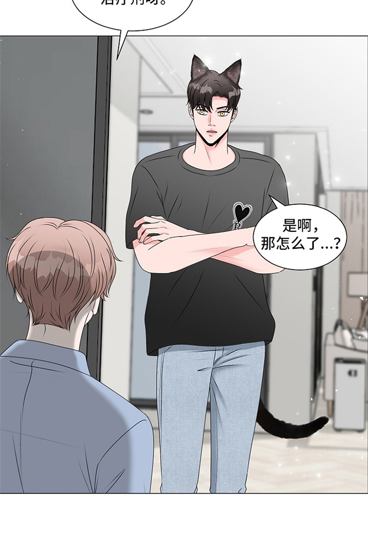 《猫猫初体验》第3章慌张 第5页